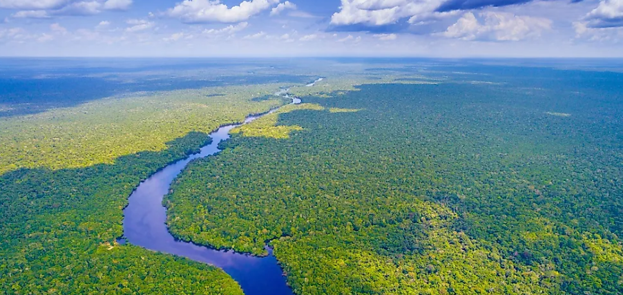 amazon river