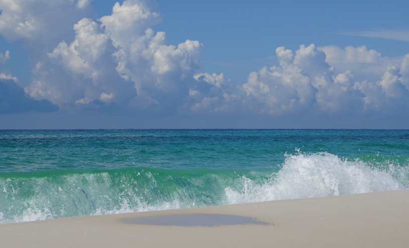 gulf of mexico